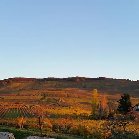 Apartment Cote Vignes Avec Terrasse Et Parking Kientzheim