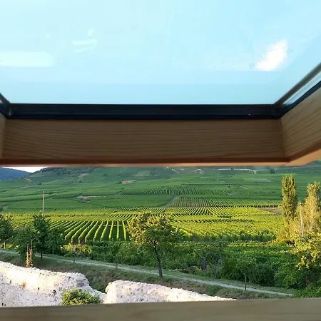 Cote Vignes Avec Terrasse Et Parking * Kientzheim