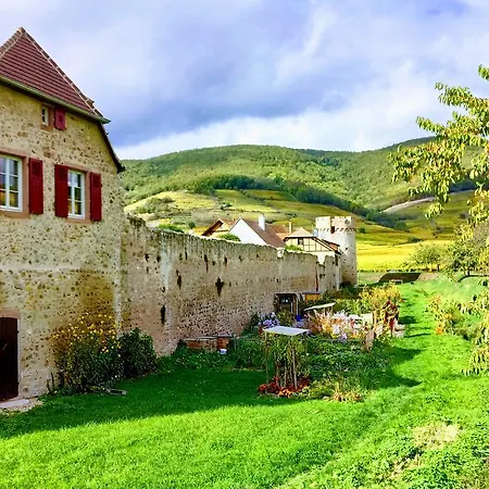 Cote Vignes Avec Terrasse Et Parking Apartment Kientzheim